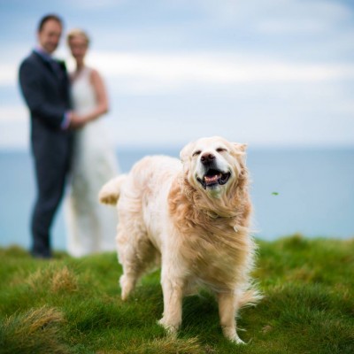 Carnmarth Hotel, a dog friendly hotel and wedding venue in Cornwall