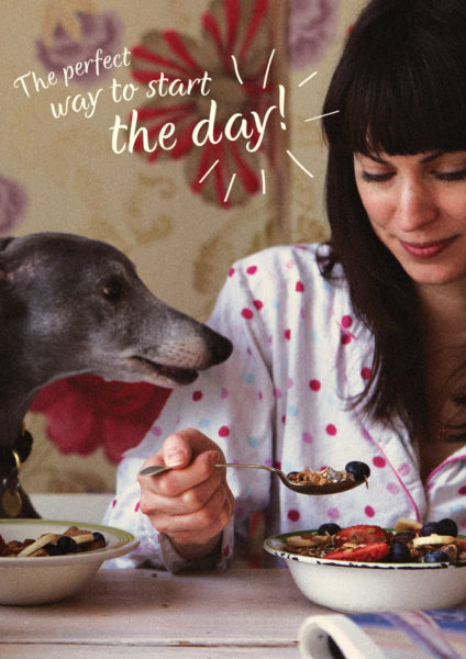 Lily's Kitchen natural food for dogs