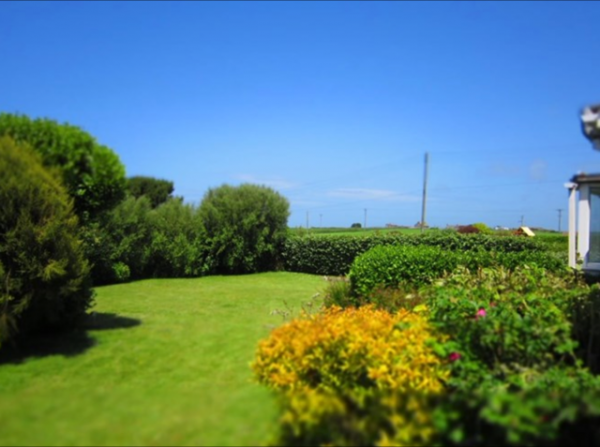 Sandylands garden, a dog friendly cottage in Cornwall