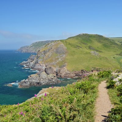 Toad Hall Cottages - Pawfect Stays