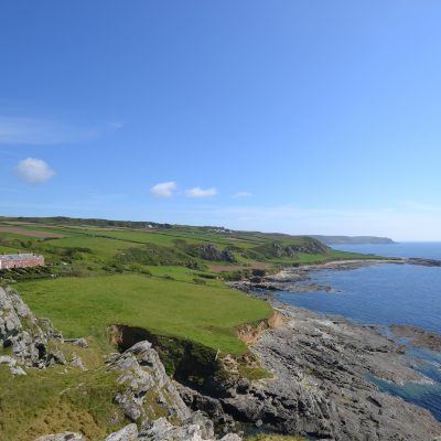 Toad Hall Cottages - Pawfect Stays