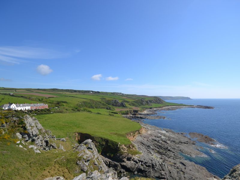 Toad Hall Cottages - Pawfect Stays