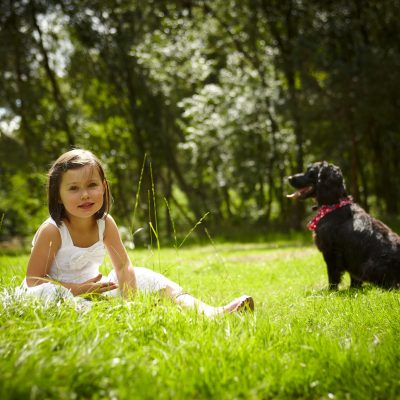 Dog friendly breaks with Forest Holidays