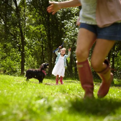 Dog friendly breaks with Forest Holidays