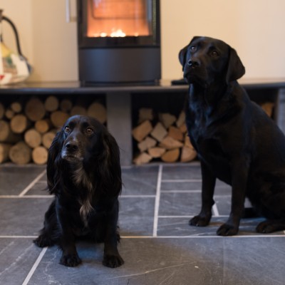 Dog friendly holidays with Boutique Retreats