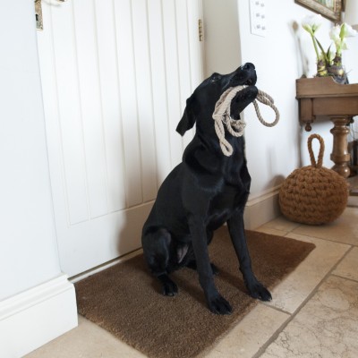 Dog friendly holidays with Boutique Retreats