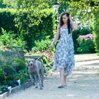 Summer Lodge, a dog friendly hotel in Dorset