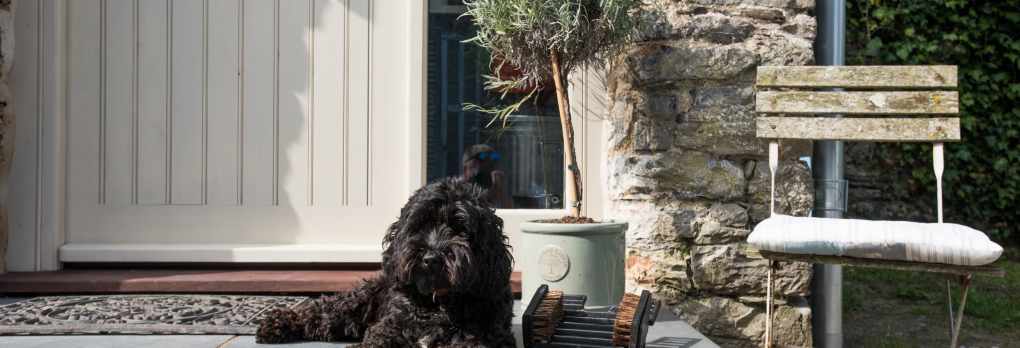 Dog friendly cottage in the Cotswolds