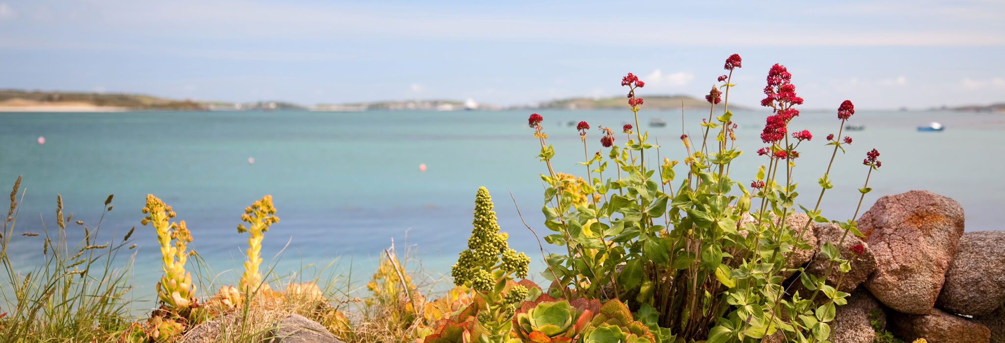 Isles of Scilly