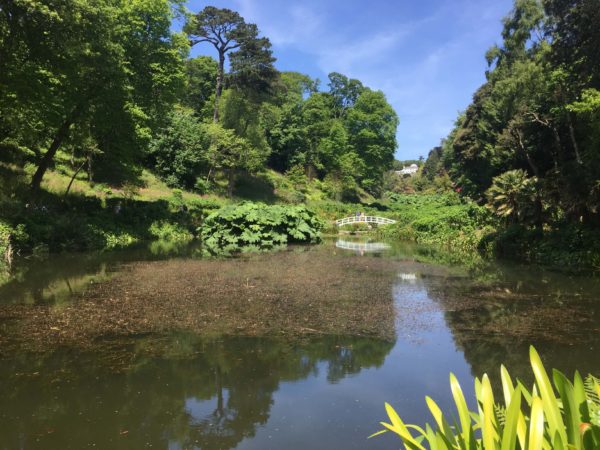Trebah Garden, Cornwall