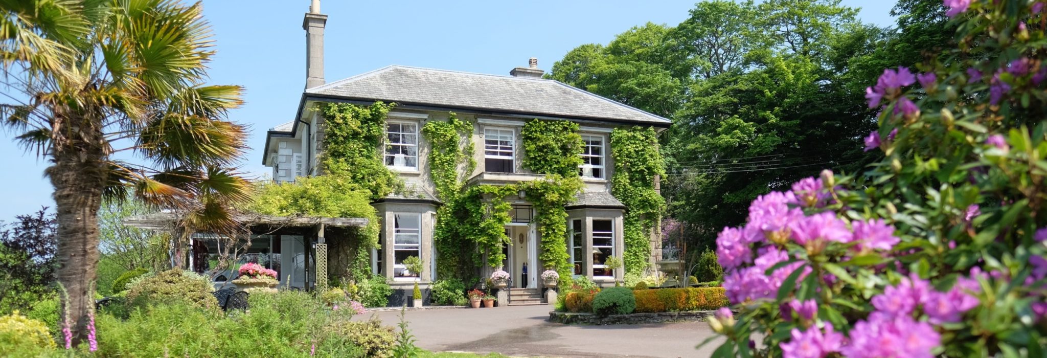 The Horn of Plenty - a dog friendly country house hotel in Devon