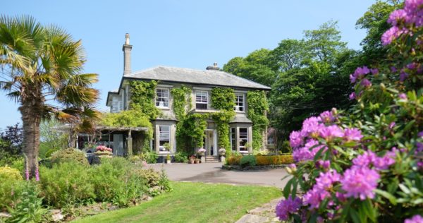 The Horn of Plenty - a dog friendly country house hotel in Devon
