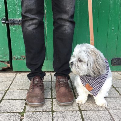 Luxury dog neckerchief handmade by The Distinguished Dog Company