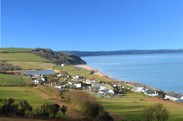 Dog friendly walks in South Devon