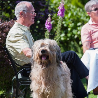 The Horn of Plenty - a dog friendly hotel in Devon