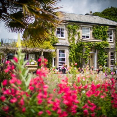 The Horn of Plenty - flowers at the front of the house