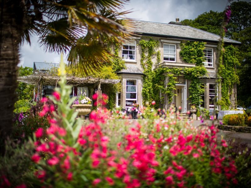 The Horn of Plenty - flowers at the front of the house