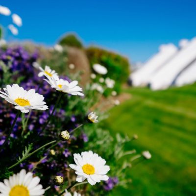 Highcliffe Holidays in Cornwall