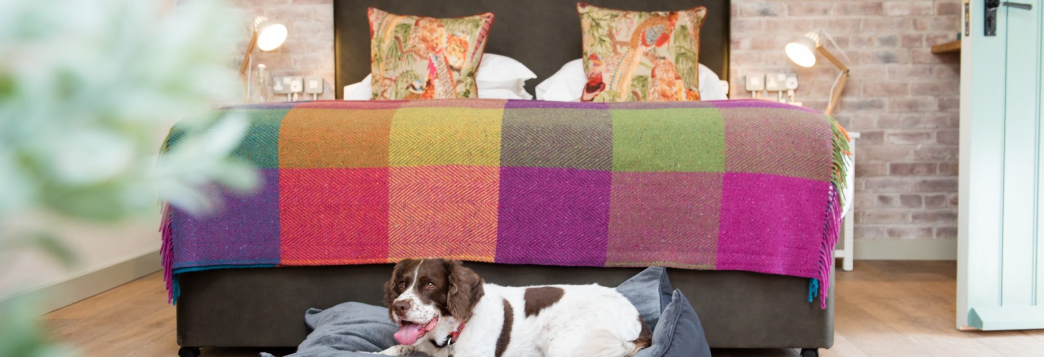 Dog friendly bedrooms at The Eastbury Hotel