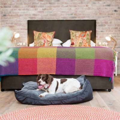 Dog friendly bedrooms at The Eastbury Hotel