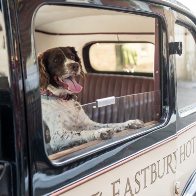 Dog friendly taxi at The Eastbury Hotel