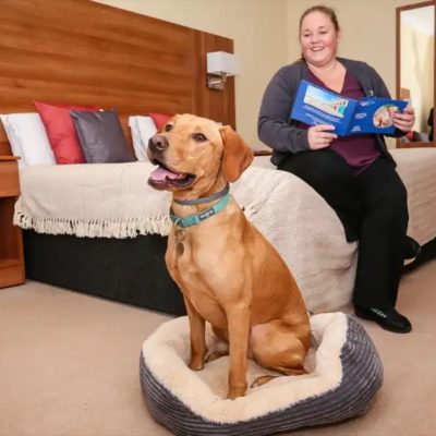 Dog-friendly rooms at Marsham Court Hotel