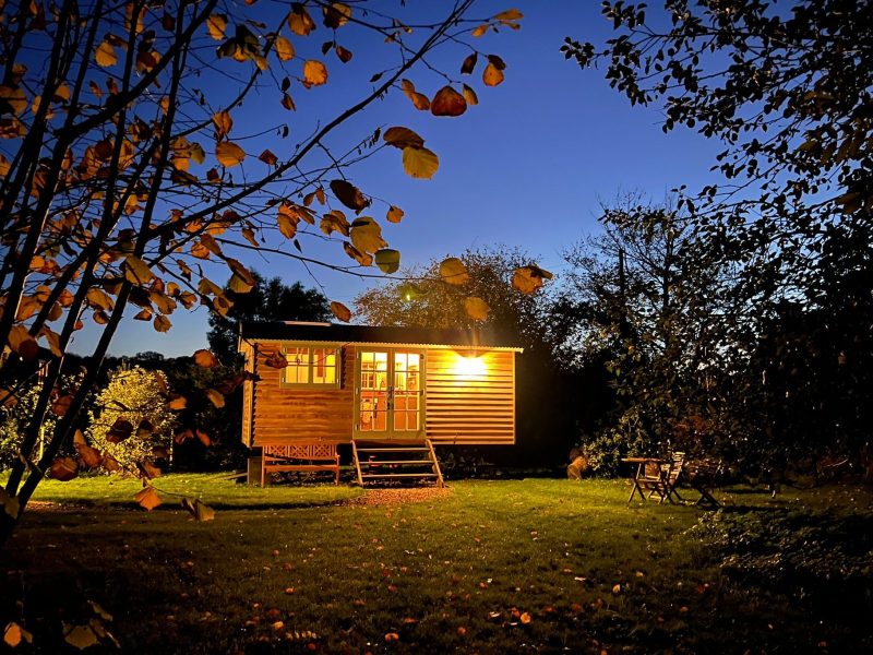 Hare Hideaway shepherd’s hut glowing with warm light at twilight under a deep blue sky, framed by autumn leaves