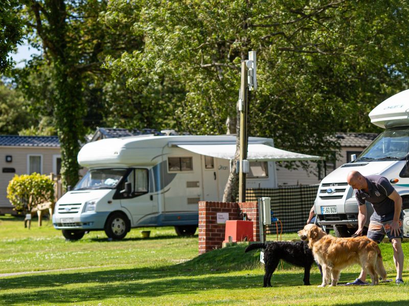 Motorhome pitch with dogs at Heligan Caravan and Camping Park, Cornwall
