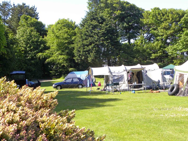 Camping meadow with tents at Trewan Hall near Newquay